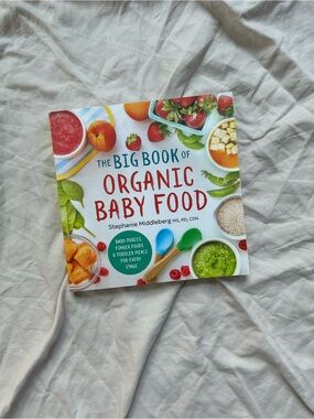 The Big Book of Organic Baby Food